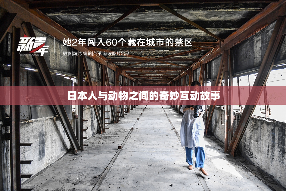 日本人与动物之间的奇妙互动故事