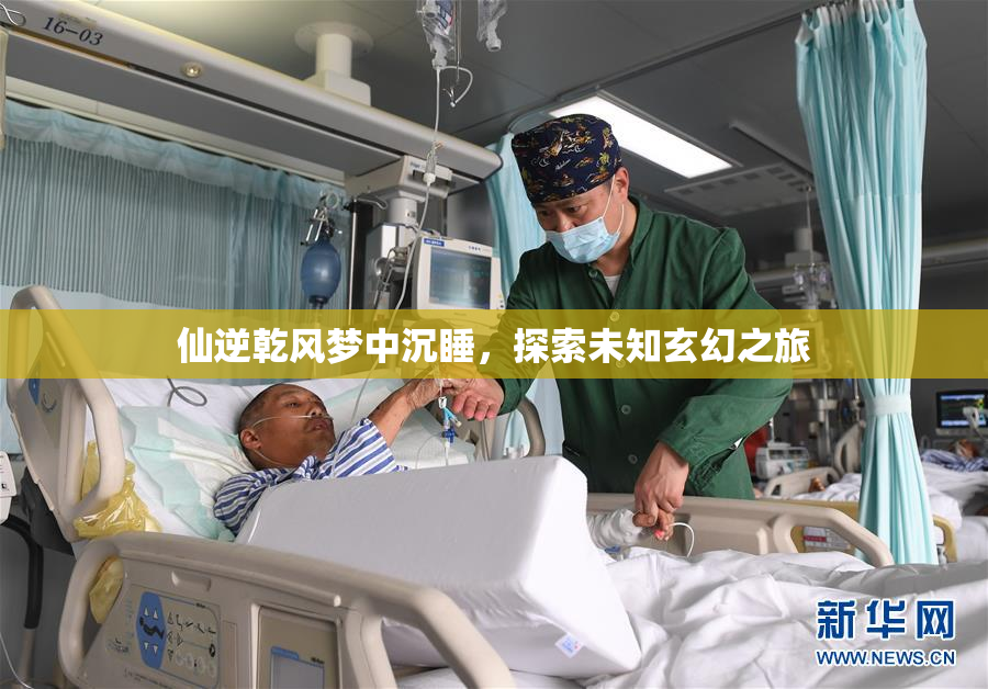仙逆乾风梦中沉睡，探索未知玄幻之旅