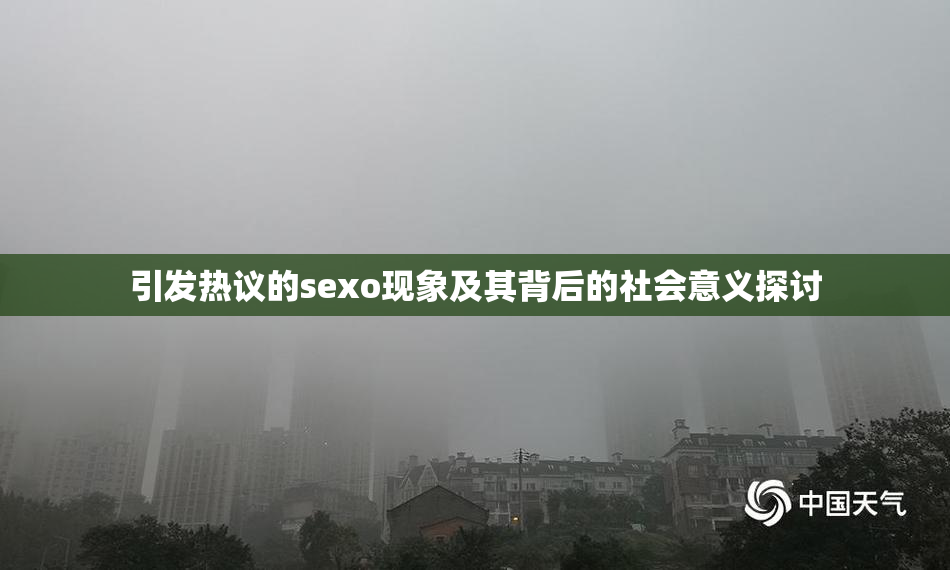 引发热议的sexo现象及其背后的社会意义探讨