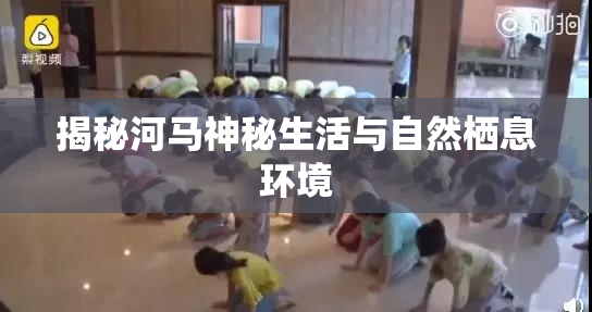 揭秘河马神秘生活与自然栖息环境