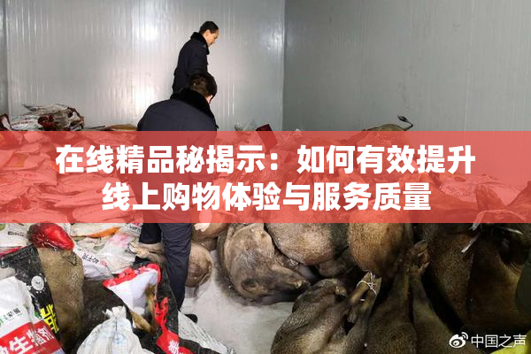在线精品秘揭示：如何有效提升线上购物体验与服务质量