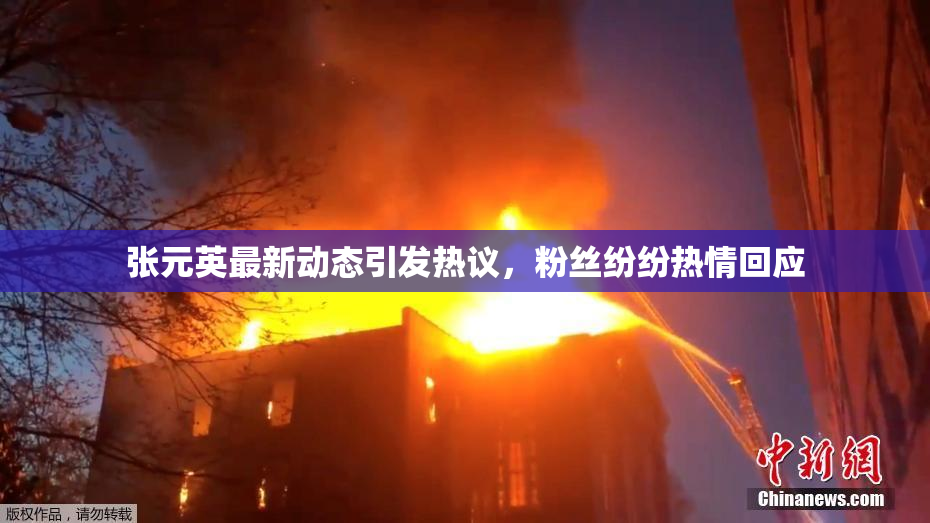 张元英最新动态引发热议，粉丝纷纷热情回应