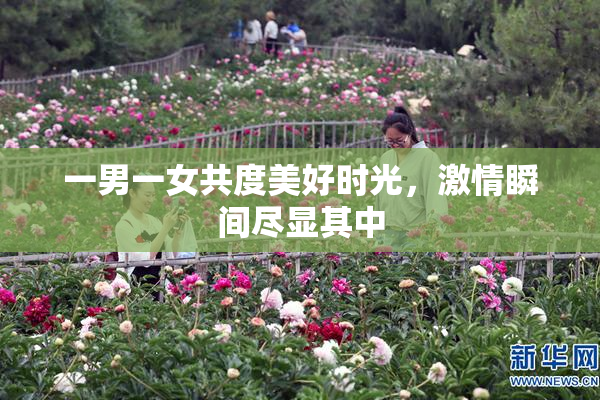 一男一女共度美好时光，激情瞬间尽显其中