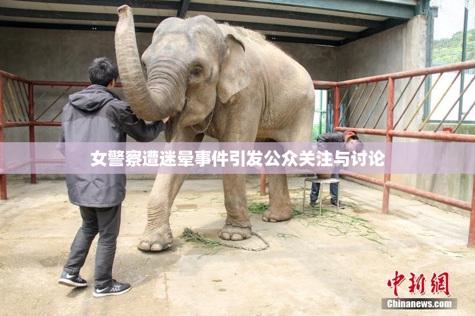 女警察遭迷晕事件引发公众关注与讨论