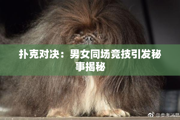 扑克对决：男女同场竞技引发秘事揭秘