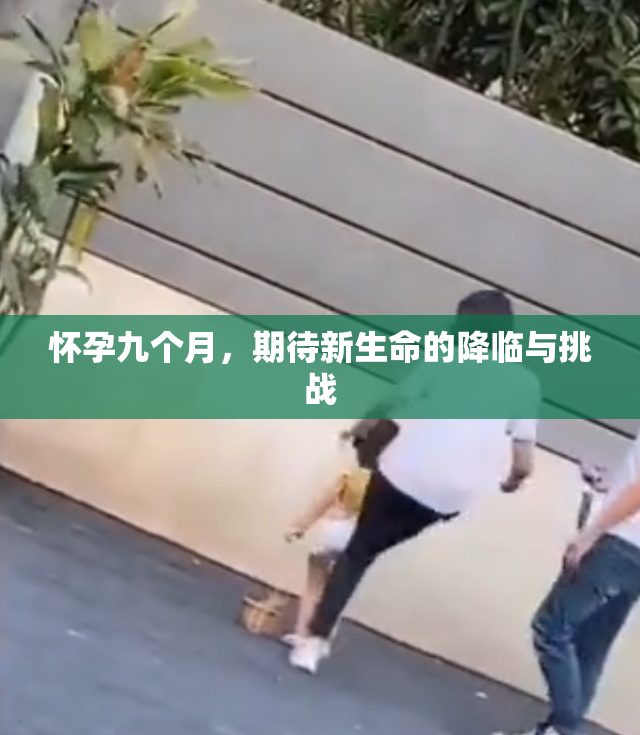 怀孕九个月，期待新生命的降临与挑战