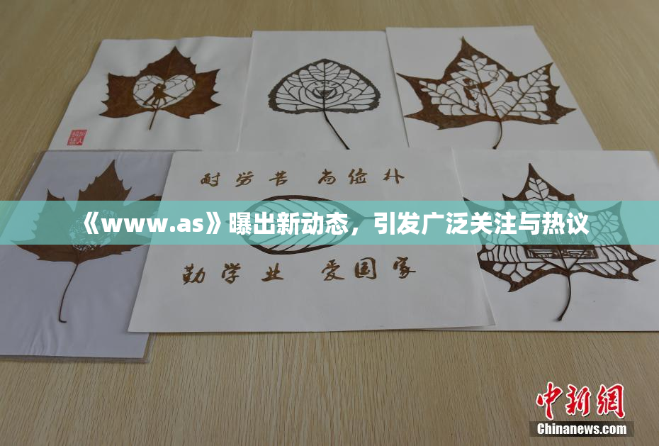 《www.as》曝出新动态，引发广泛关注与热议