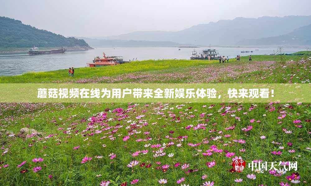 蘑菇视频在线为用户带来全新娱乐体验，快来观看！