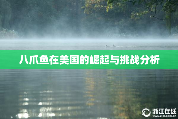 八爪鱼在美国的崛起与挑战分析