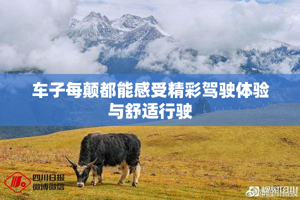 车子每颠都能感受精彩驾驶体验与舒适行驶