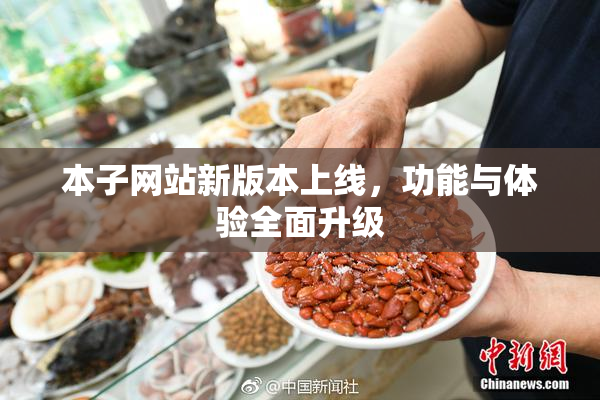 本子网站新版本上线，功能与体验全面升级