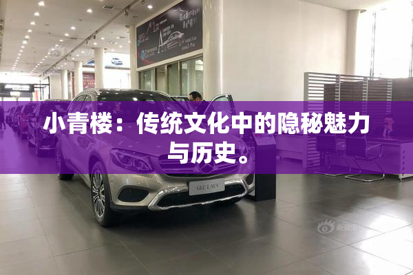 小青楼：传统文化中的隐秘魅力与历史。