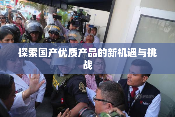 探索国产优质产品的新机遇与挑战