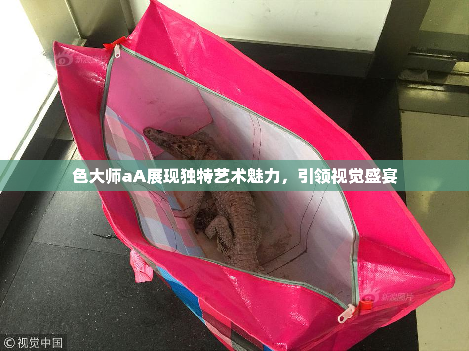 色大师aA展现独特艺术魅力，引领视觉盛宴