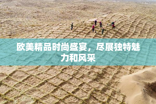 欧美精品时尚盛宴，尽展独特魅力和风采