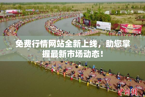 免费行情网站全新上线，助您掌握最新市场动态！