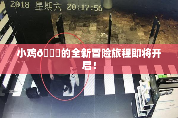 小鸡🐔的全新冒险旅程即将开启！