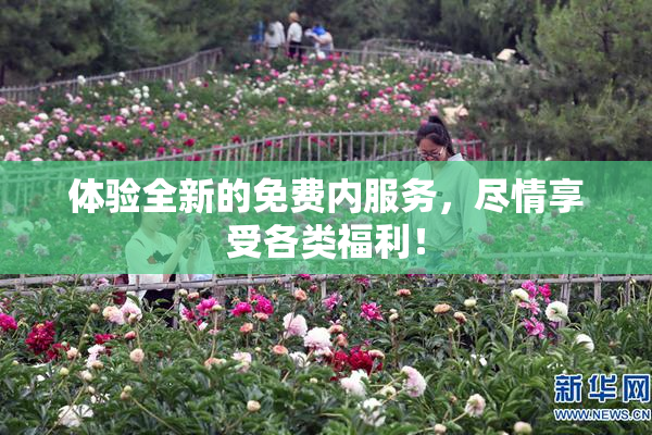 体验全新的免费内服务，尽情享受各类福利！
