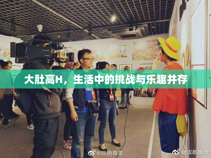 大肚高H，生活中的挑战与乐趣并存