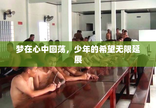 梦在心中回荡，少年的希望无限延展