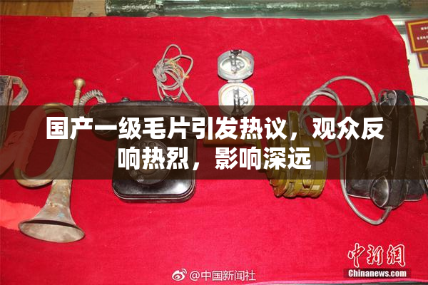 国产一级毛片引发热议，观众反响热烈，影响深远