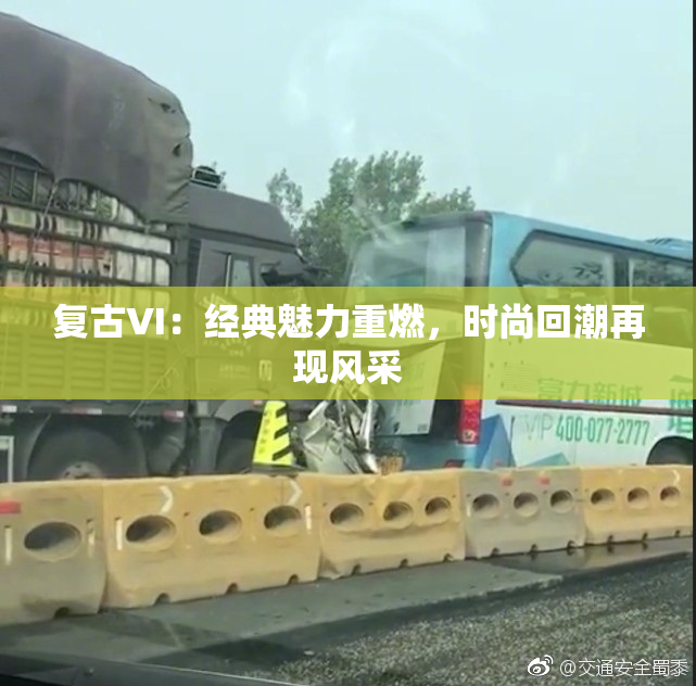 复古VI：经典魅力重燃，时尚回潮再现风采