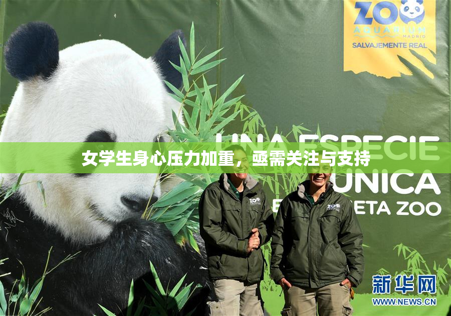 女学生身心压力加重，亟需关注与支持