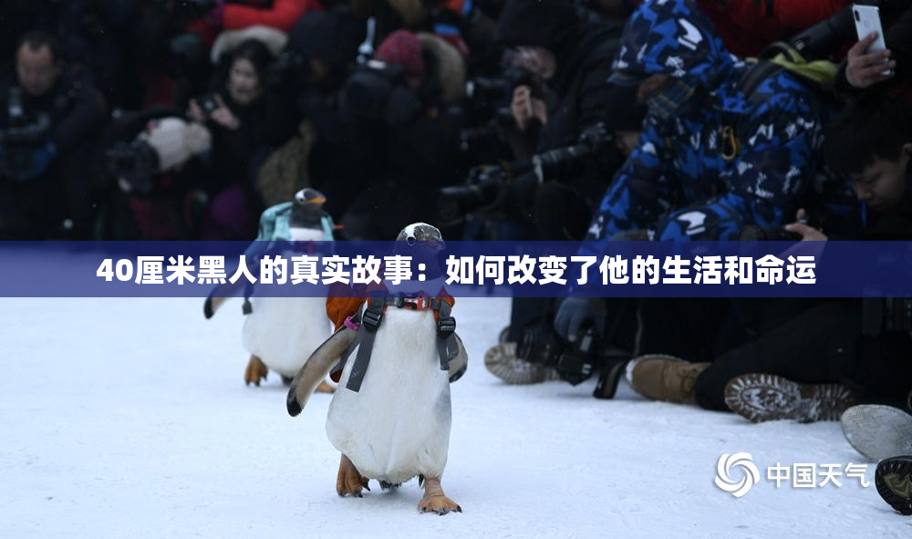 40厘米黑人的真实故事：如何改变了他的生活和命运