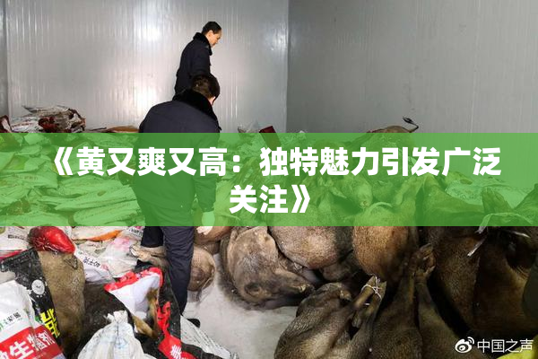 《黄又爽又高：独特魅力引发广泛关注》