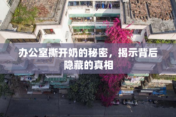 办公室撕开奶的秘密，揭示背后隐藏的真相