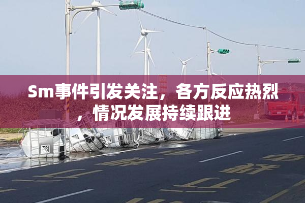 Sm事件引发关注，各方反应热烈，情况发展持续跟进