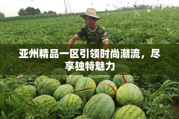 亚州精品一区引领时尚潮流，尽享独特魅力