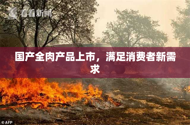 国产全肉产品上市，满足消费者新需求