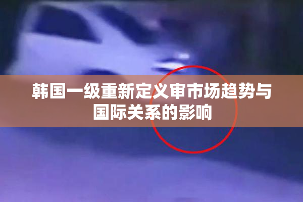 韩国一级重新定义审市场趋势与国际关系的影响