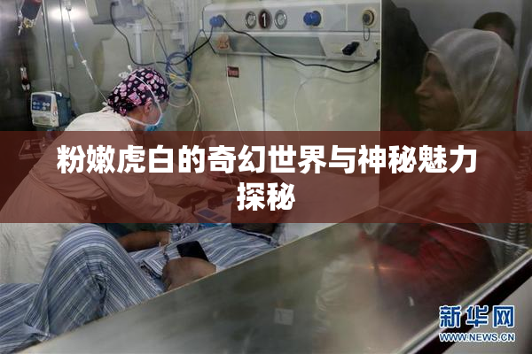 粉嫩虎白的奇幻世界与神秘魅力探秘