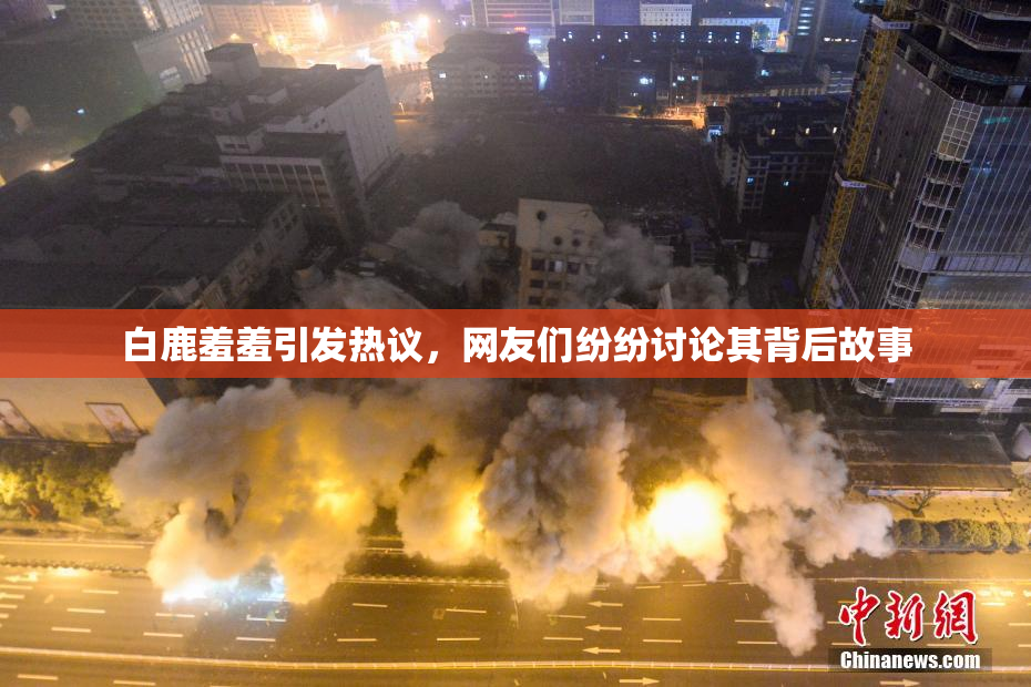 白鹿羞羞引发热议，网友们纷纷讨论其背后故事