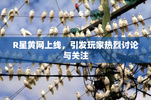 R星黄网上线，引发玩家热烈讨论与关注