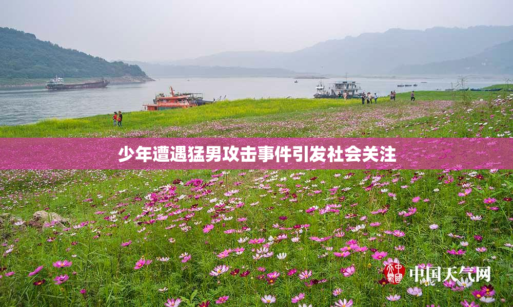 少年遭遇猛男攻击事件引发社会关注