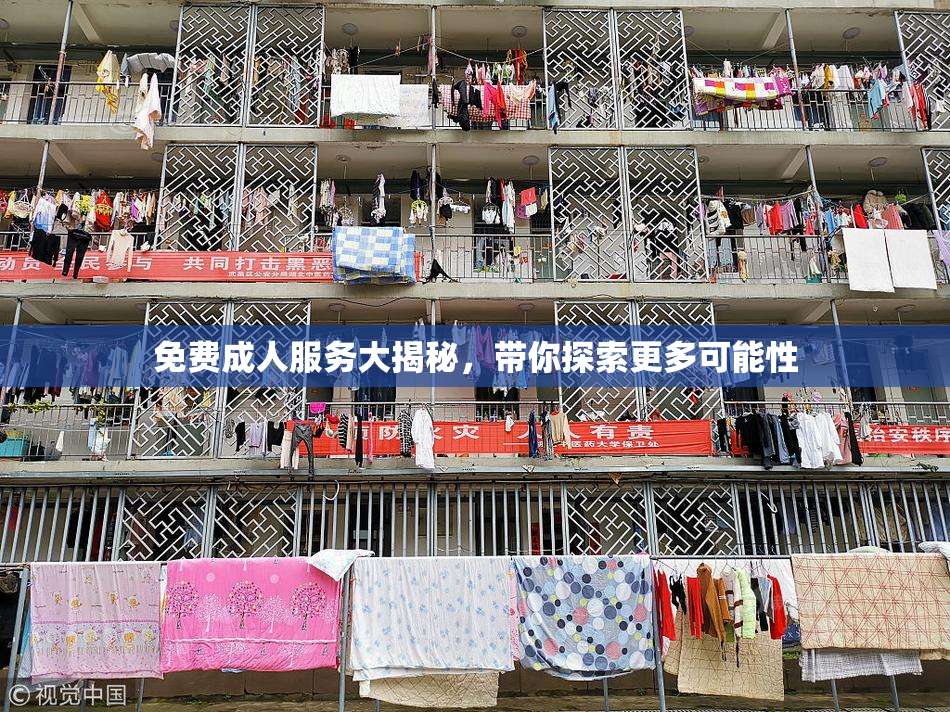 免费成人服务大揭秘，带你探索更多可能性