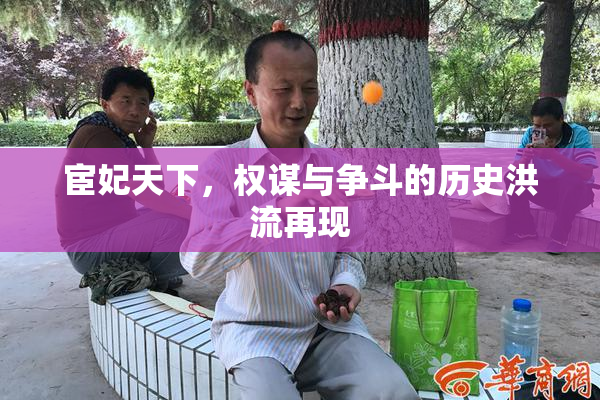宦妃天下，权谋与争斗的历史洪流再现