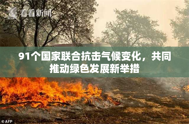 91个国家联合抗击气候变化，共同推动绿色发展新举措
