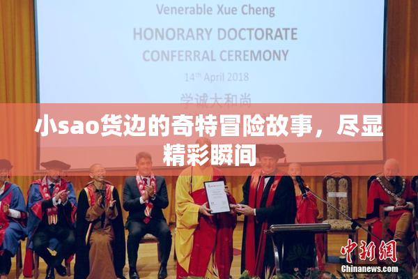 小sao货边的奇特冒险故事，尽显精彩瞬间