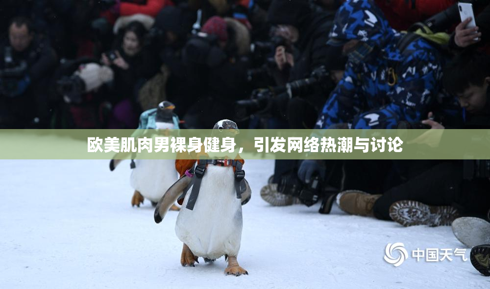 欧美肌肉男裸身健身，引发网络热潮与讨论