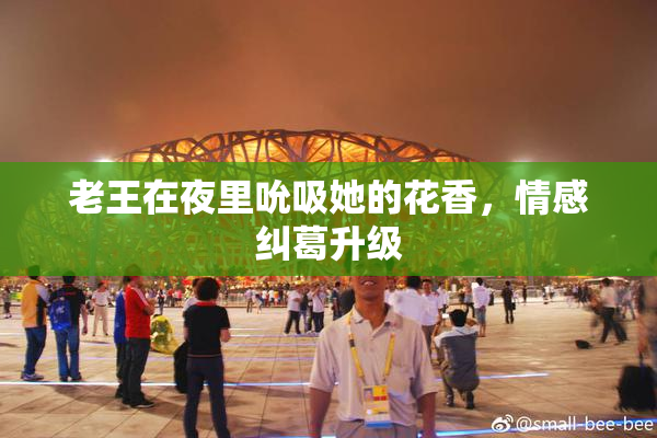 老王在夜里吮吸她的花香，情感纠葛升级