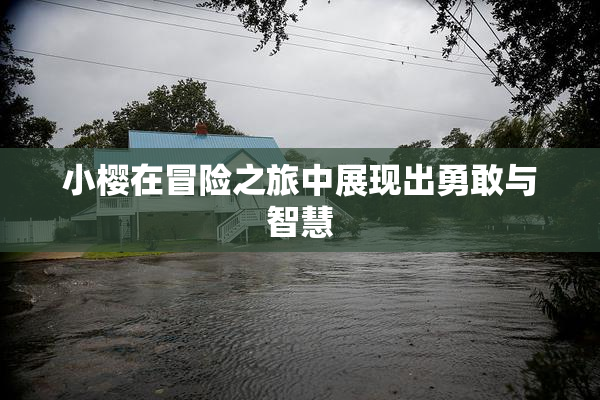 小樱在冒险之旅中展现出勇敢与智慧