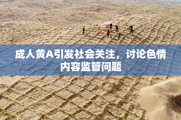 成人黄A引发社会关注，讨论色情内容监管问题