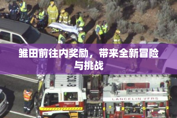 雏田前往内奖励，带来全新冒险与挑战