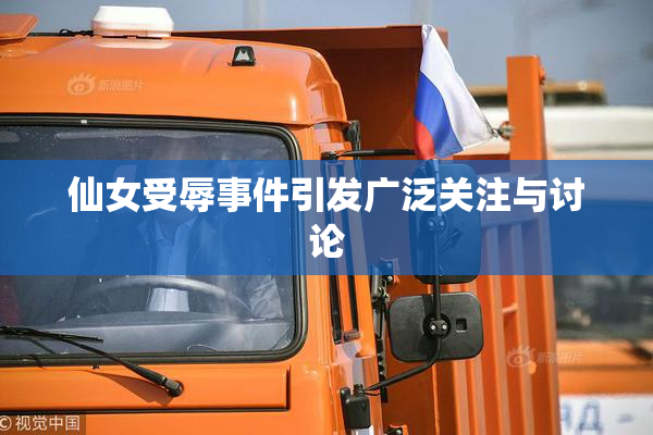 仙女受辱事件引发广泛关注与讨论