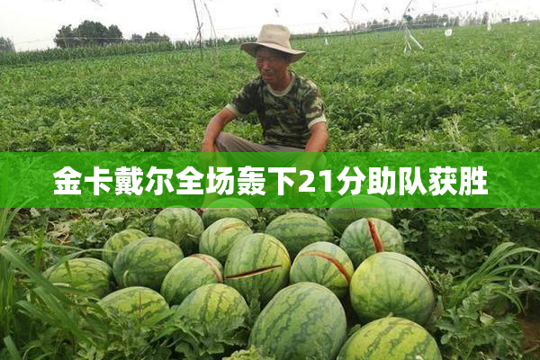 金卡戴尔全场轰下21分助队获胜