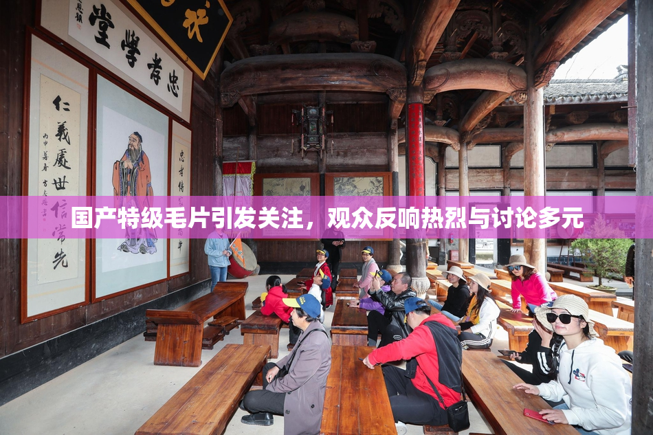 国产特级毛片引发关注，观众反响热烈与讨论多元
